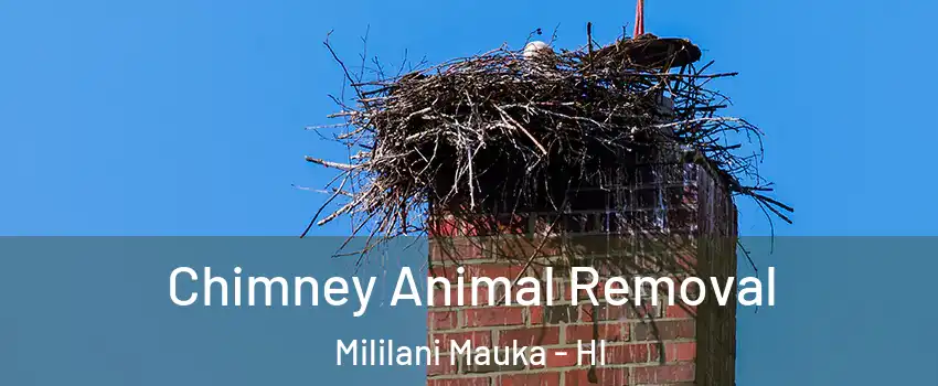 Chimney Animal Removal Mililani Mauka - HI