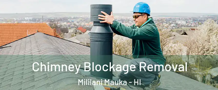  Chimney Blockage Removal Mililani Mauka - HI