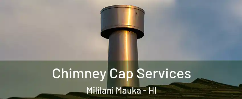  Chimney Cap Services Mililani Mauka - HI