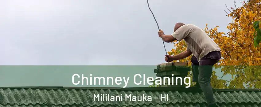  Chimney Cleaning Mililani Mauka - HI