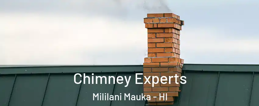 Chimney Experts Mililani Mauka - HI
