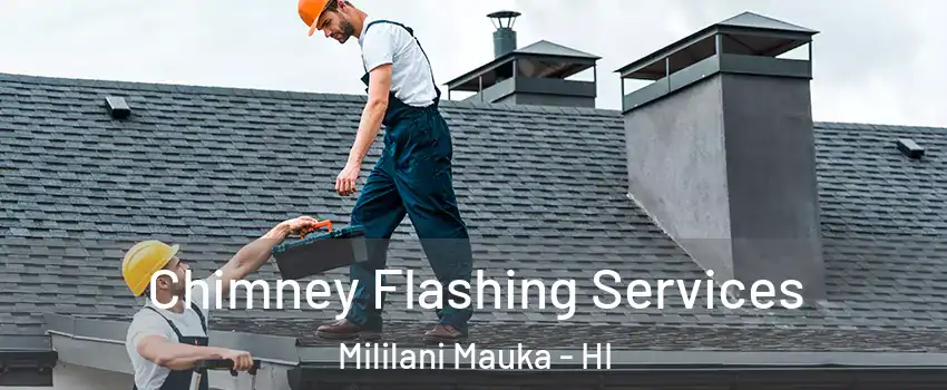  Chimney Flashing Services Mililani Mauka - HI