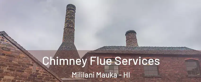  Chimney Flue Services Mililani Mauka - HI