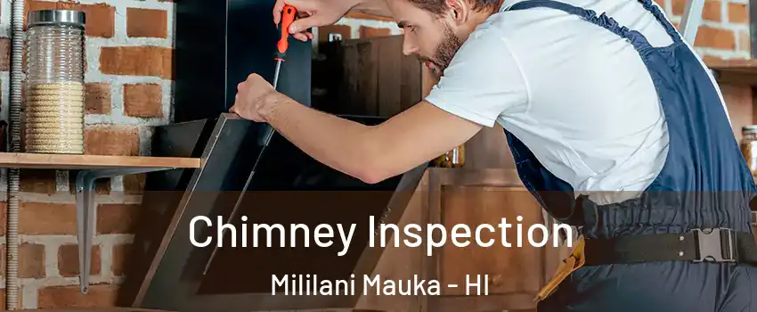  Chimney Inspection Mililani Mauka - HI