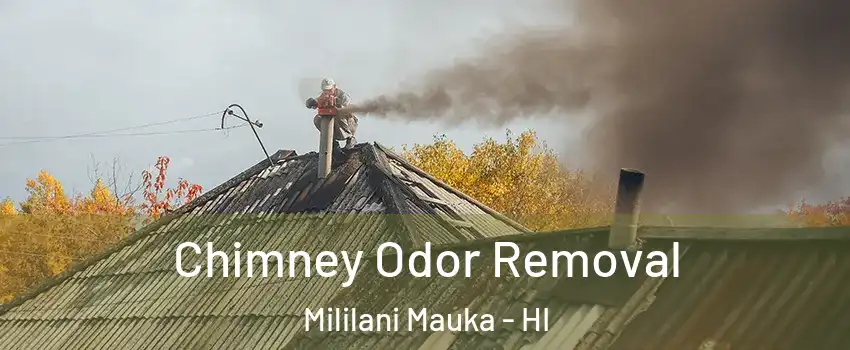  Chimney Odor Removal Mililani Mauka - HI
