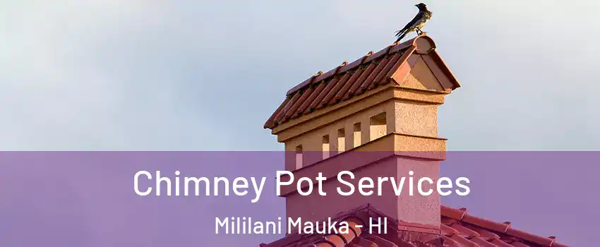  Chimney Pot Services Mililani Mauka - HI