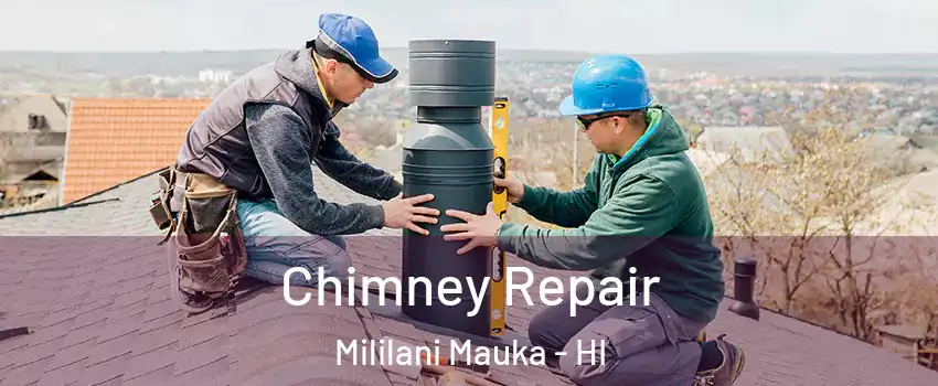  Chimney Repair Mililani Mauka - HI