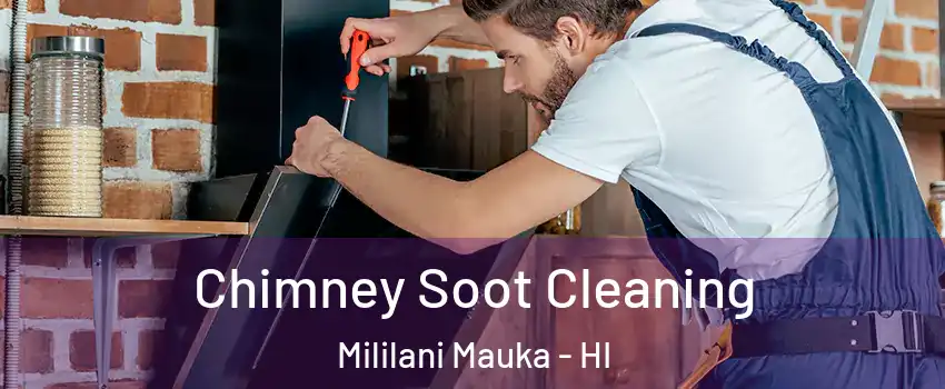  Chimney Soot Cleaning Mililani Mauka - HI