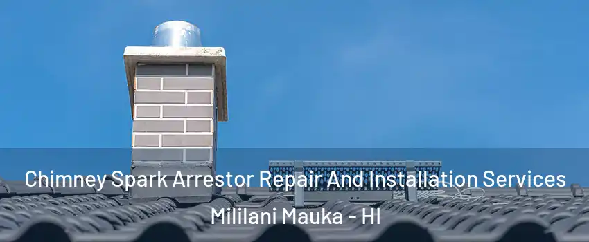  Chimney Spark Arrestor Repair And Installation Services Mililani Mauka - HI