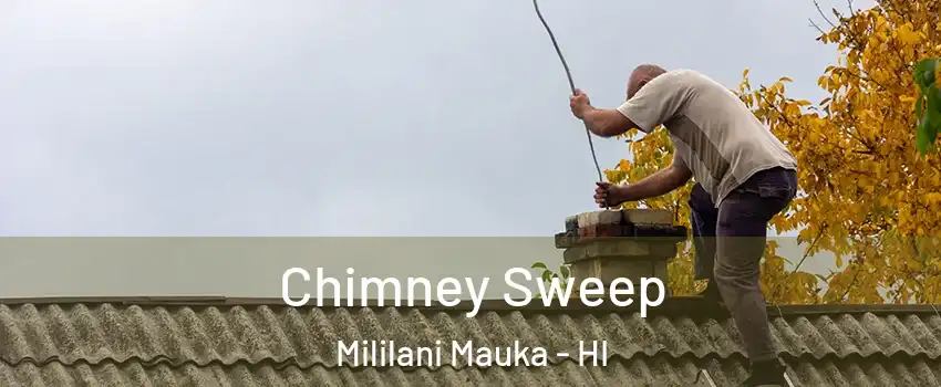  Chimney Sweep Mililani Mauka - HI