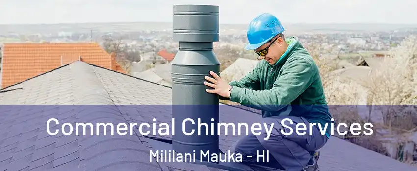  Commercial Chimney Services Mililani Mauka - HI