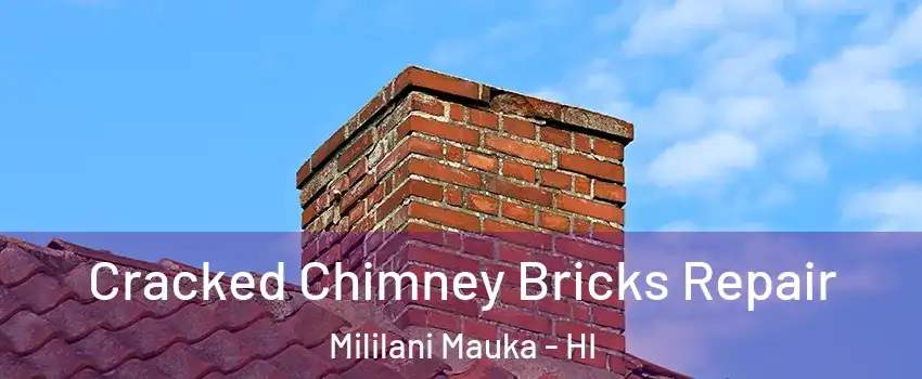  Cracked Chimney Bricks Repair Mililani Mauka - HI