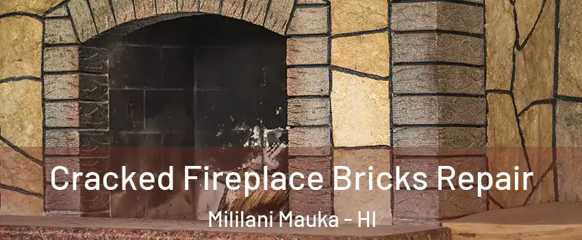 Cracked Fireplace Bricks Repair Mililani Mauka - HI