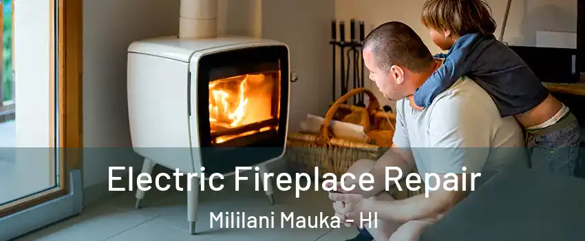  Electric Fireplace Repair Mililani Mauka - HI