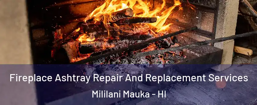  Fireplace Ashtray Repair And Replacement Services Mililani Mauka - HI
