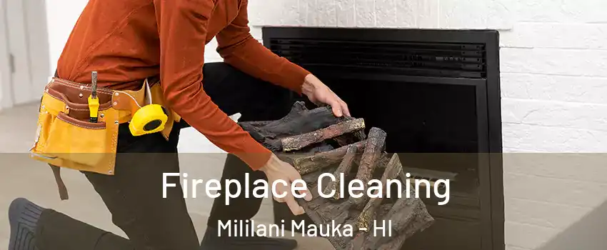  Fireplace Cleaning Mililani Mauka - HI