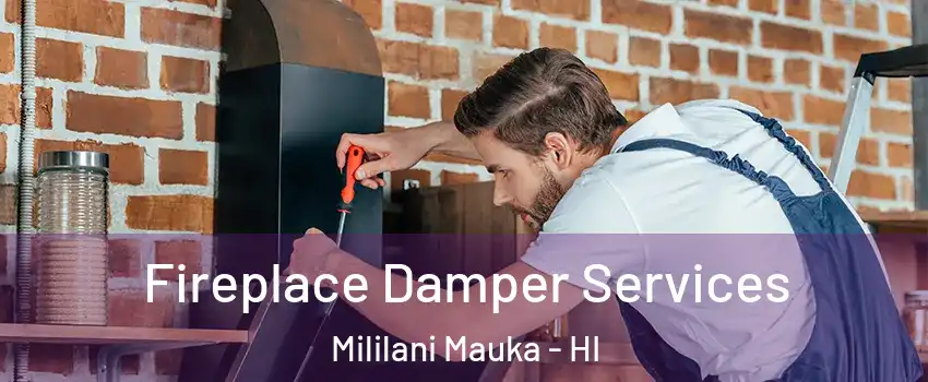  Fireplace Damper Services Mililani Mauka - HI