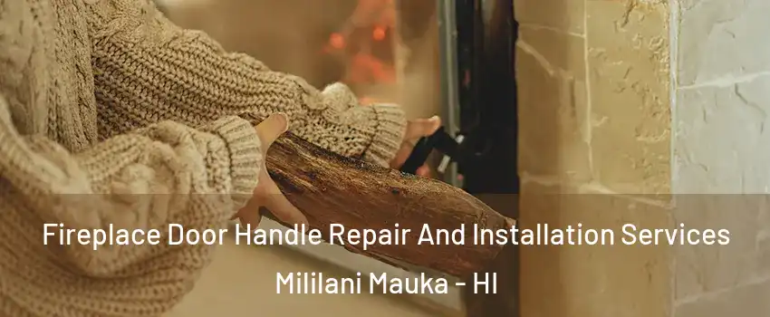  Fireplace Door Handle Repair And Installation Services Mililani Mauka - HI