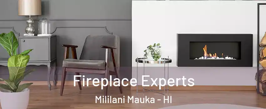  Fireplace Experts Mililani Mauka - HI