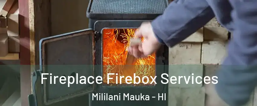  Fireplace Firebox Services Mililani Mauka - HI