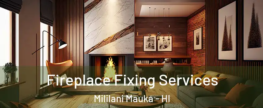  Fireplace Fixing Services Mililani Mauka - HI