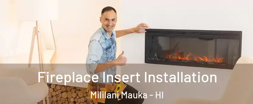  Fireplace Insert Installation Mililani Mauka - HI