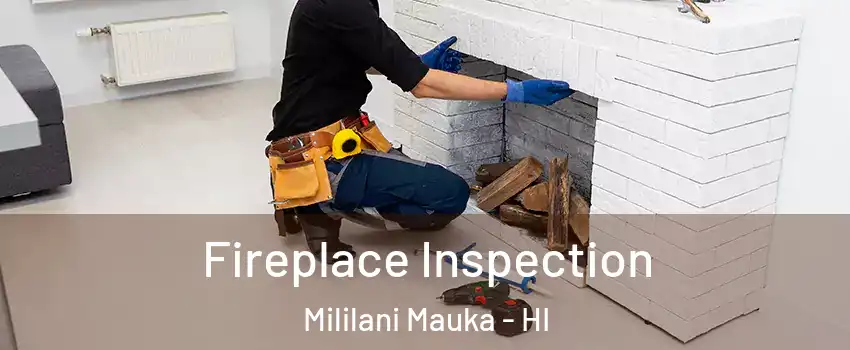  Fireplace Inspection Mililani Mauka - HI