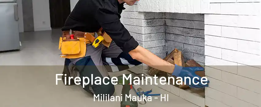  Fireplace Maintenance Mililani Mauka - HI