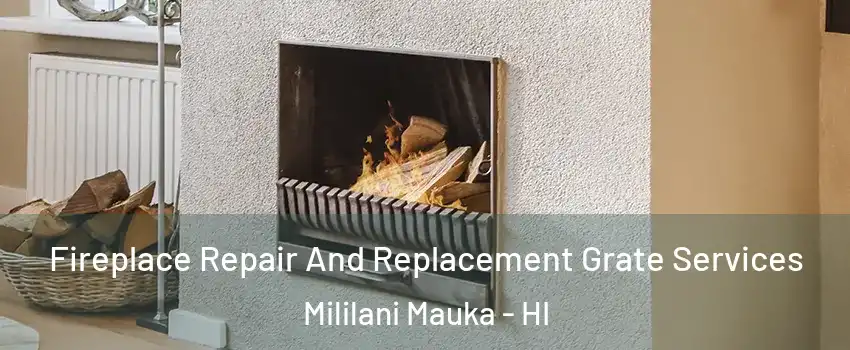  Fireplace Repair And Replacement Grate Services Mililani Mauka - HI