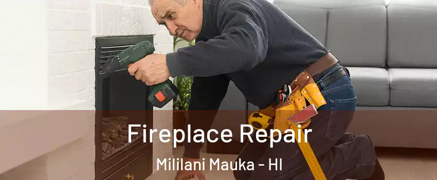  Fireplace Repair Mililani Mauka - HI