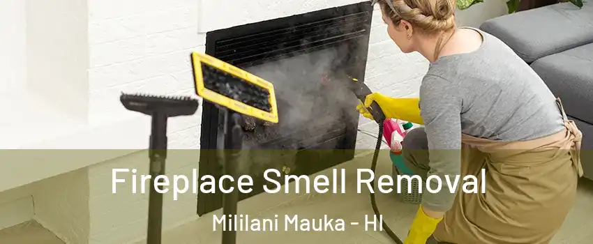  Fireplace Smell Removal Mililani Mauka - HI