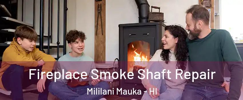  Fireplace Smoke Shaft Repair Mililani Mauka - HI