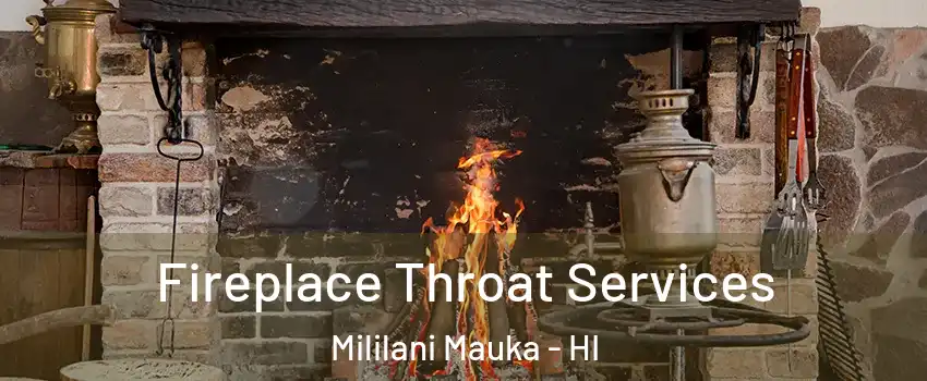  Fireplace Throat Services Mililani Mauka - HI