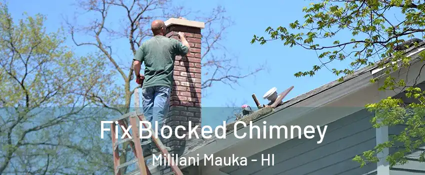  Fix Blocked Chimney Mililani Mauka - HI