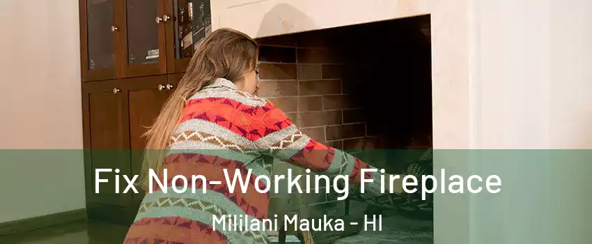  Fix Non-Working Fireplace Mililani Mauka - HI