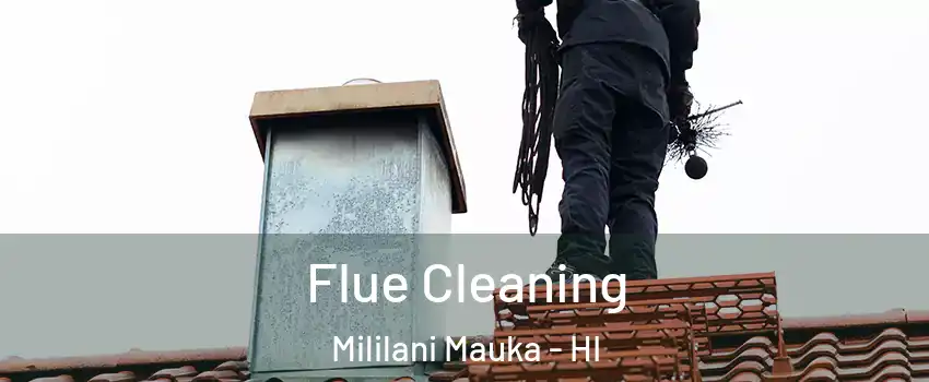  Flue Cleaning Mililani Mauka - HI