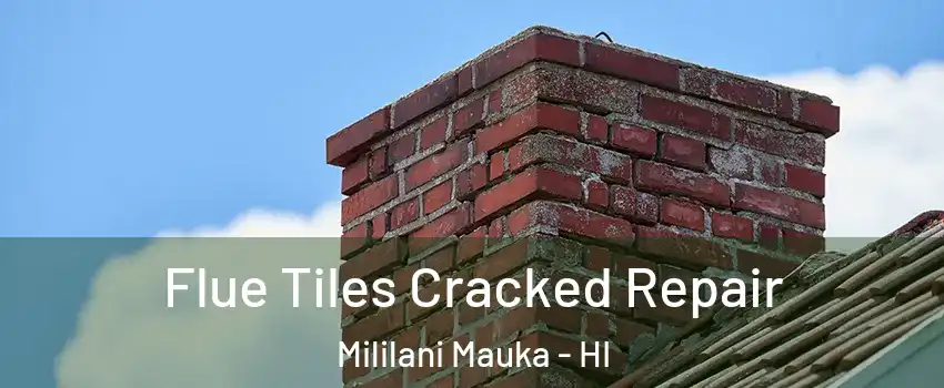  Flue Tiles Cracked Repair Mililani Mauka - HI