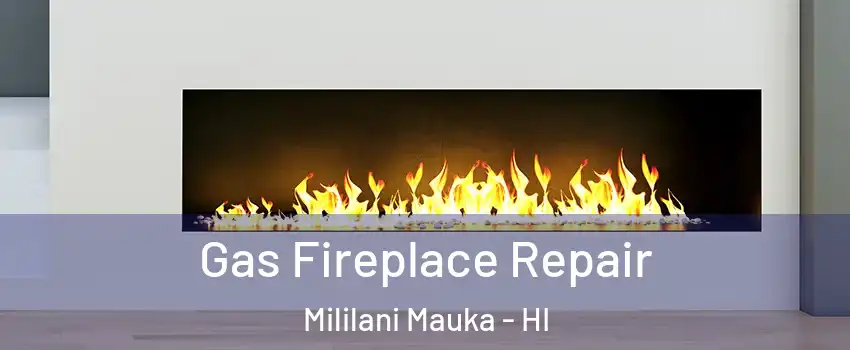  Gas Fireplace Repair Mililani Mauka - HI