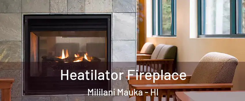  Heatilator Fireplace Mililani Mauka - HI