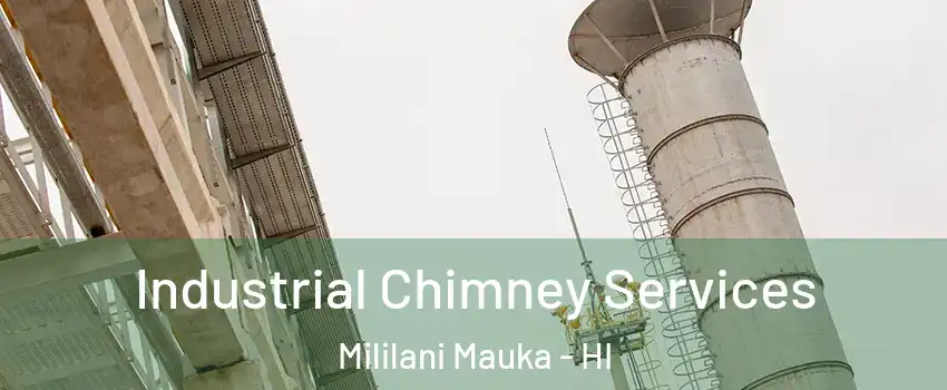  Industrial Chimney Services Mililani Mauka - HI