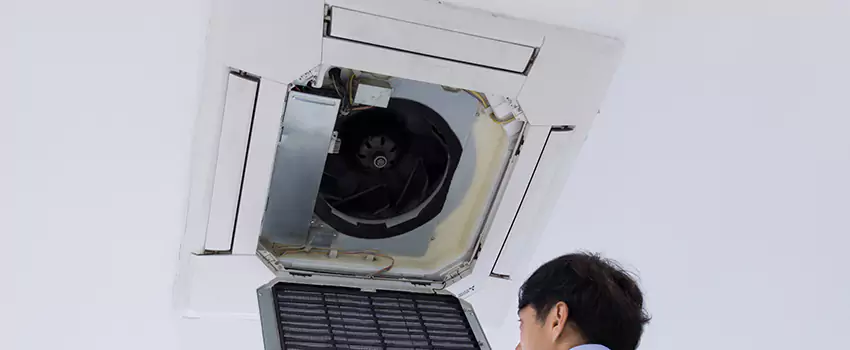 Benefits of Professional Air Duct Cleaning in Mililani Mauka, Hawaii