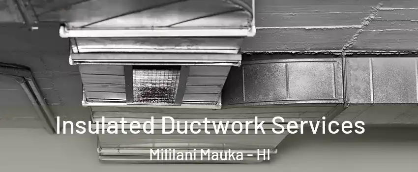  Insulated Ductwork Services Mililani Mauka - HI
