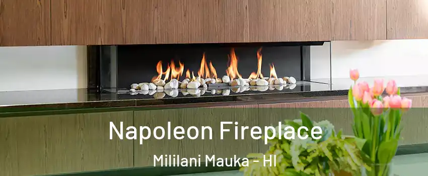  Napoleon Fireplace Mililani Mauka - HI