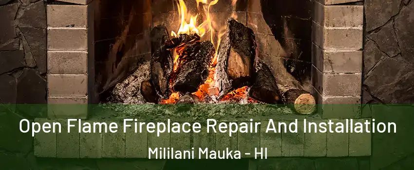  Open Flame Fireplace Repair And Installation Mililani Mauka - HI
