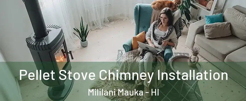  Pellet Stove Chimney Installation Mililani Mauka - HI