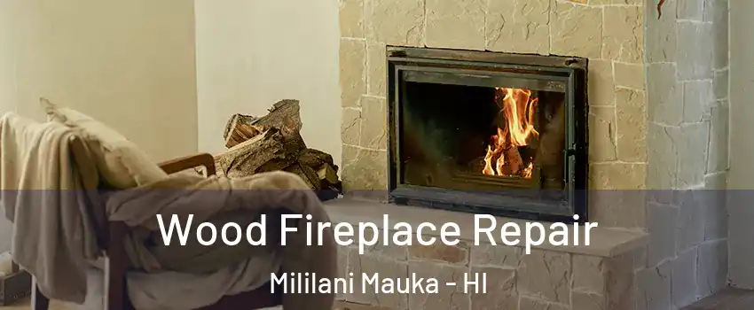  Wood Fireplace Repair Mililani Mauka - HI