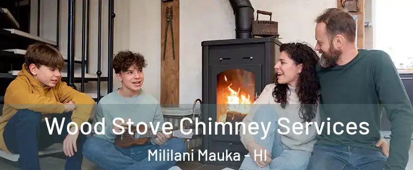 Wood Stove Chimney Services Mililani Mauka - HI