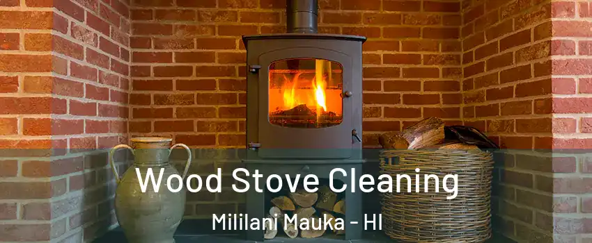  Wood Stove Cleaning Mililani Mauka - HI