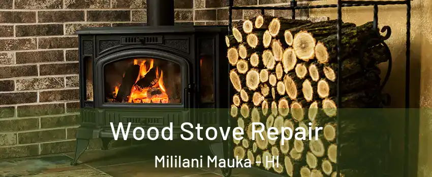  Wood Stove Repair Mililani Mauka - HI